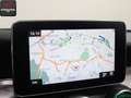 Mercedes-Benz C 220 C 220 d 4M Cabrio 3x AMG COMAND,KAMERA,AIRSCARF Silver - thumbnail 20