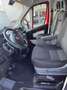 Fiat Ducato L2H2 Rosso - thumbnail 9