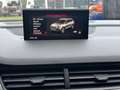 Audi SQ7 SQ7 4.0TDI V8 435PK PANORAMADAK HUD CARBON TREKHAA Grijs - thumbnail 44