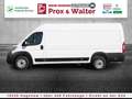 Fiat Ducato 35 Maxi L5H2 Serie9 TEMPOMAT+270°TÜREN Weiß - thumbnail 3