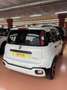 Fiat Panda 1.0 Hybrid Pandina PACK CROSS Bianco - thumbnail 5