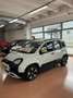 Fiat Panda 1.0 Hybrid Pandina PACK CROSS Bianco - thumbnail 3