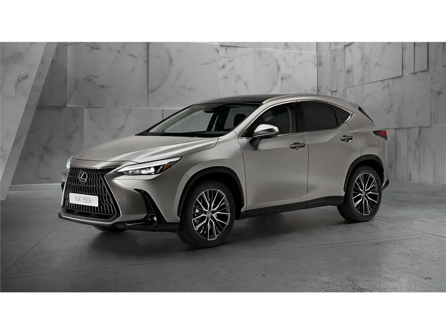 Lexus NX 350h Business 2WD - 2