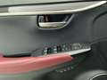 Lexus NX 300h AWD Executive Line Limited | Head-up Display | Sto Gris - thumbnail 27