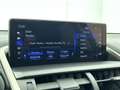 Lexus NX 300h AWD Executive Line Limited | Head-up Display | Sto Gris - thumbnail 21