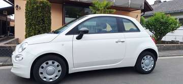 500 1.0 GSE Hybrid Cult