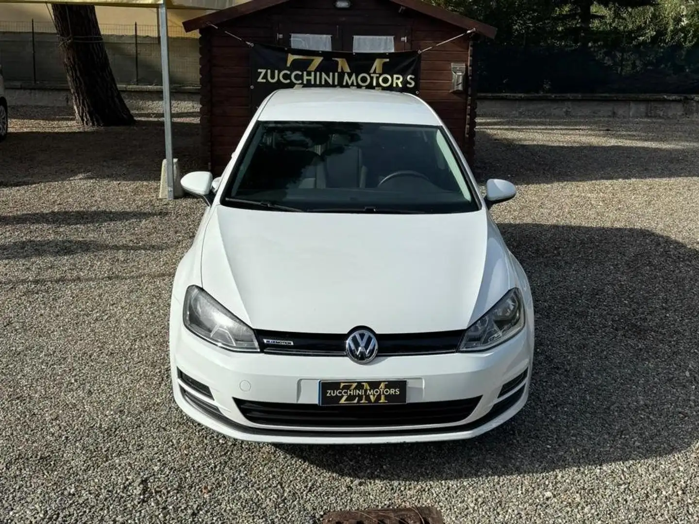 Volkswagen Golf Golf VII 2013 5p 1.4 tgi Highline BlueMotion Bianco - 2