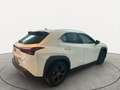 Lexus UX 250h 2.0 Urban 2wd cvt UNICO PROPRIETARIO Blanc - thumbnail 4