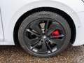 Skoda Octavia Combi RS 2.0 TSI DSG NAVI HUD CANTON AHK Weiß - thumbnail 9
