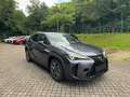 Lexus UX 300h F Sport Design ACC+LED+Navi+SHZ+2xKlima Сірий - thumbnail 7