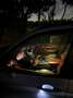 BMW X5 X5 PHEV xDrive40e Österreich-Paket Aut. M-Paket Grau - thumbnail 33