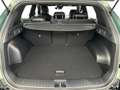 Kia Sportage 1.6 T-GDi MHEV Verde - thumbnail 11
