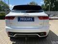 Jaguar E-Pace E-PACE Chequered Flag D180 AWD Aut.*LED*PANO*AHK Blanc - thumbnail 3