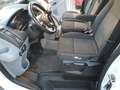 Ford Transit Kombi 310 L2 H2 Trend Navi Motor NEU !!! Bianco - thumbnail 10