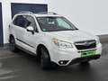 Subaru Forester Exclusive ÖL-Druckpumpe Defekt Weiß - thumbnail 2