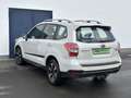 Subaru Forester Exclusive ÖL-Druckpumpe Defekt Weiß - thumbnail 4