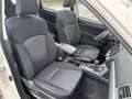 Subaru Forester Exclusive ÖL-Druckpumpe Defekt Weiß - thumbnail 14