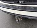 Subaru Forester Exclusive ÖL-Druckpumpe Defekt Weiß - thumbnail 20