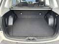 Subaru Forester Exclusive ÖL-Druckpumpe Defekt Weiß - thumbnail 19
