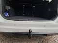 Volkswagen Touran Touran Highline 1,6 SCR TDI DSG Highline Weiß - thumbnail 6