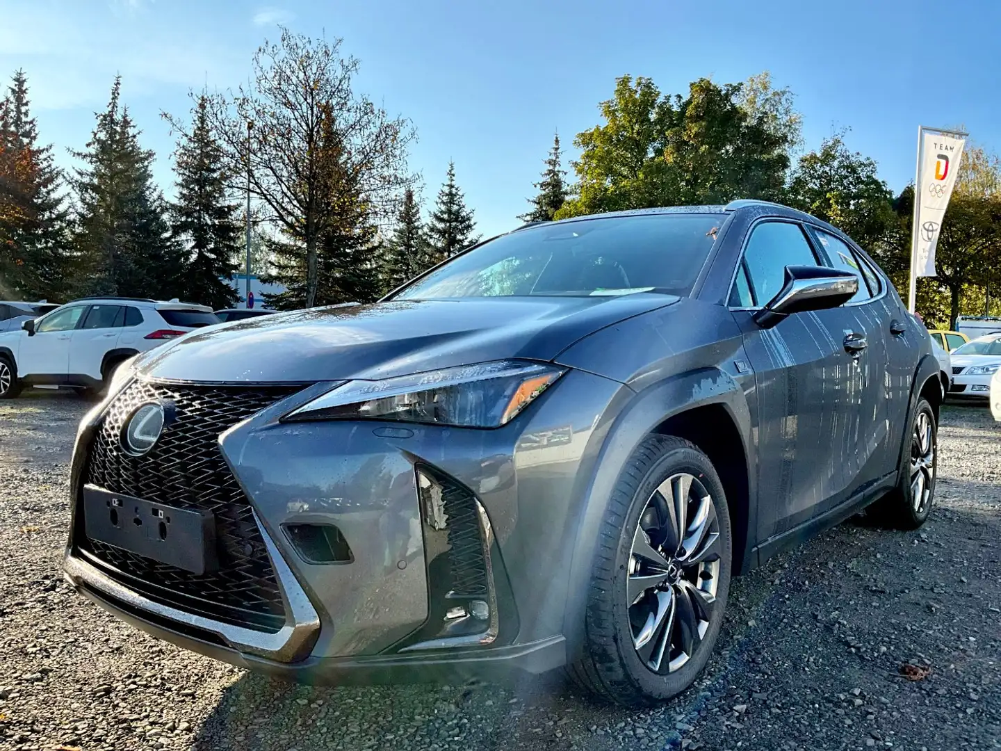 Lexus UX 300e UX 300h F Sport Design Kamera, SHZ, LED, Navi Grau - 1