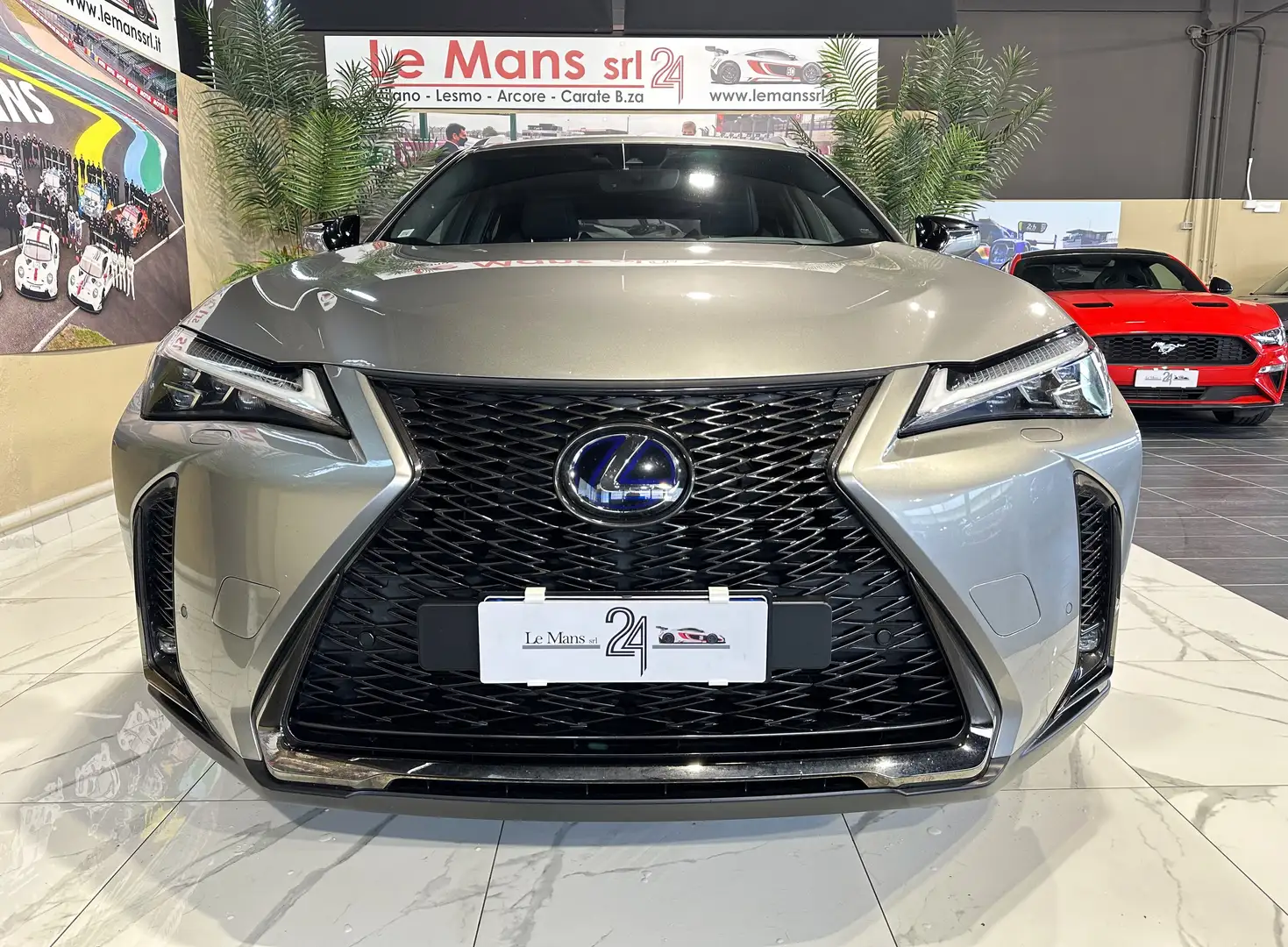 Lexus UX 250h 2.0 F-Sport 4wd cvt my20 Grijs - 2