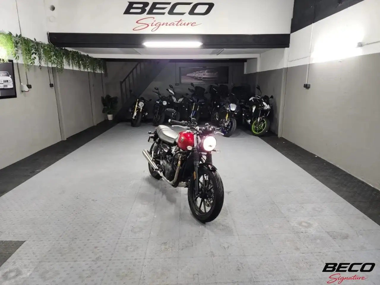 Triumph Speed Twin