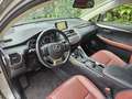 Lexus NX 300h AWD Luxury Line Led/Navi/Trekhaak Gris - thumbnail 8
