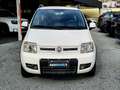 Fiat Panda 1.3 MJT 16V 4x4 Climbing - Tagliandata Bianco - thumbnail 2