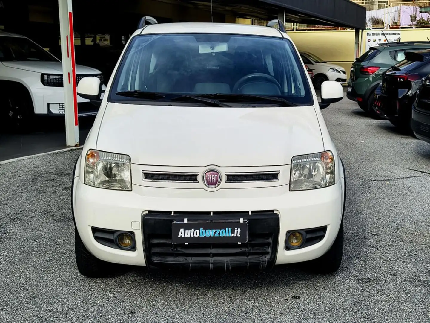 Fiat Panda 1.3 MJT 16V 4x4 Climbing - Tagliandata Bianco - 2