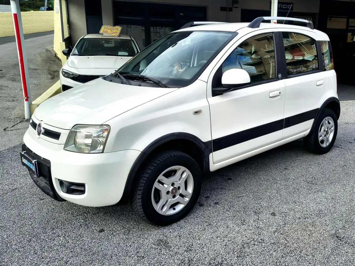 Fiat Panda 1.3 MJT 16V 4x4 Climbing - Tagliandata Bianco - 1