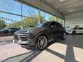 Porsche Cayenne pano, luft volleder ahk,21 zoll, stdhz Gris - thumbnail 5
