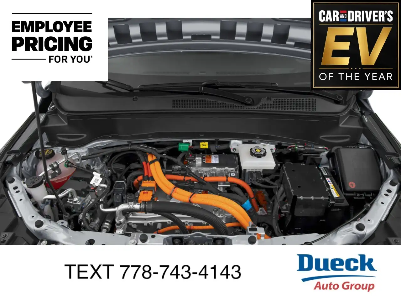 Chevrolet Bolt photo Chevrolet Bolt