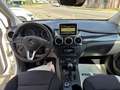 Mercedes-Benz B 180 CDI BlueEFFICIENCY Executive XENO-NAVI Bianco - thumbnail 7