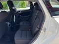 Mercedes-Benz B 180 CDI BlueEFFICIENCY Executive XENO-NAVI Bianco - thumbnail 6