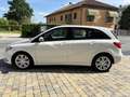 Mercedes-Benz B 180 CDI BlueEFFICIENCY Executive XENO-NAVI Bianco - thumbnail 3