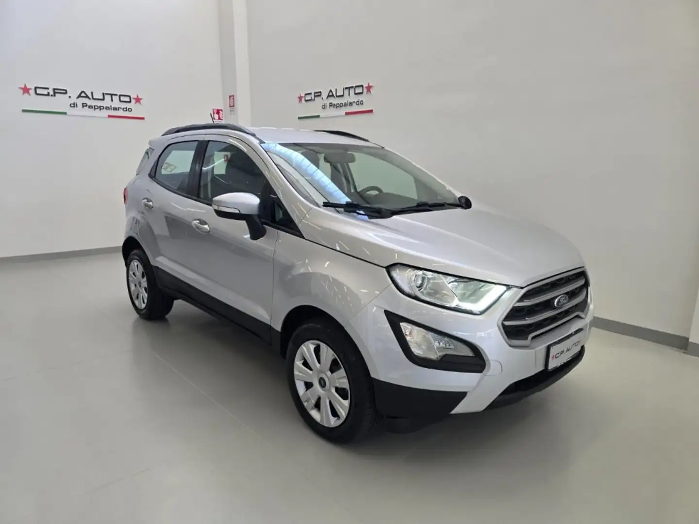 Ford EcoSport 1.5 Ecoblue 125 CV Start&Stop AWD Business Grigio - 1