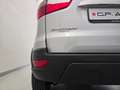 Ford EcoSport 1.5 Ecoblue 125 CV Start&Stop AWD Business Grigio - thumbnail 7