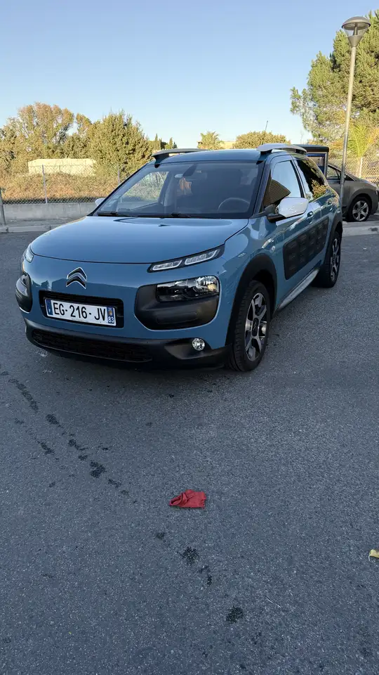 Citroen C4 Cactus Pure Tech 110 Stop\u0026Start Rip Curl
