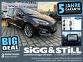 Ford Fiesta 1.0 Vignale AT LED*ACC*B&O*NAV*TWA*SPUR*SHZ*CAM Noir - thumbnail 1