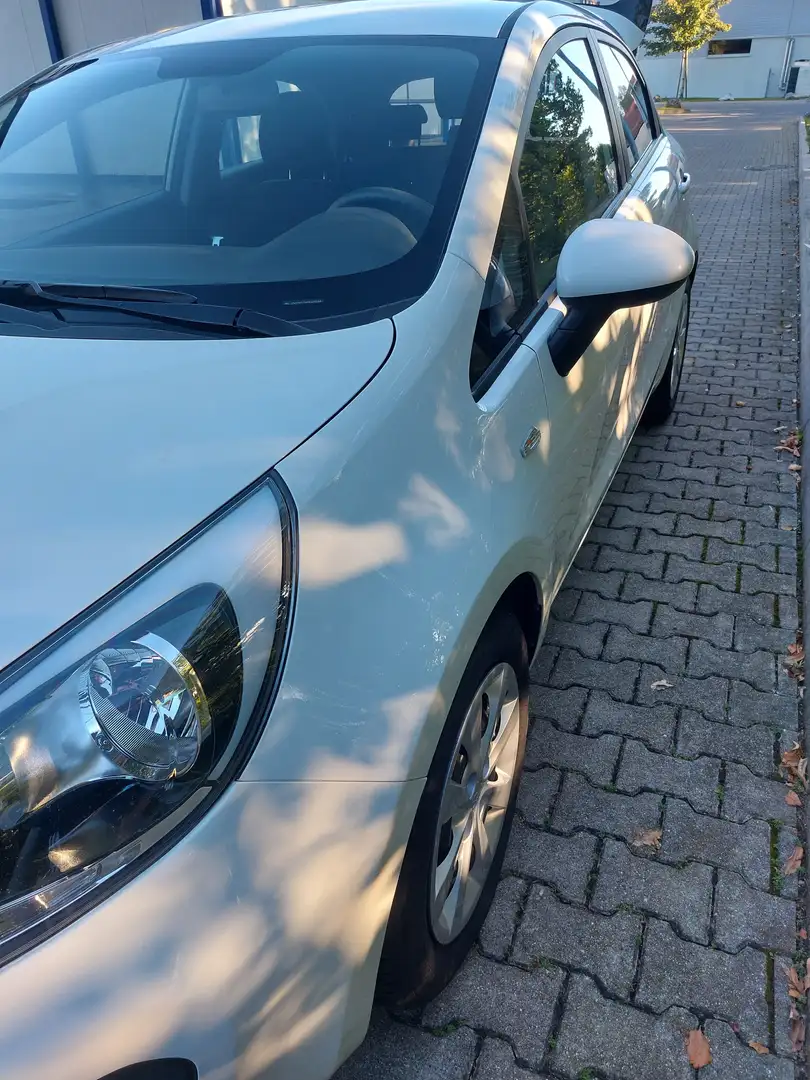 Kia Rio Rio 1.2 UB Weiß - 2