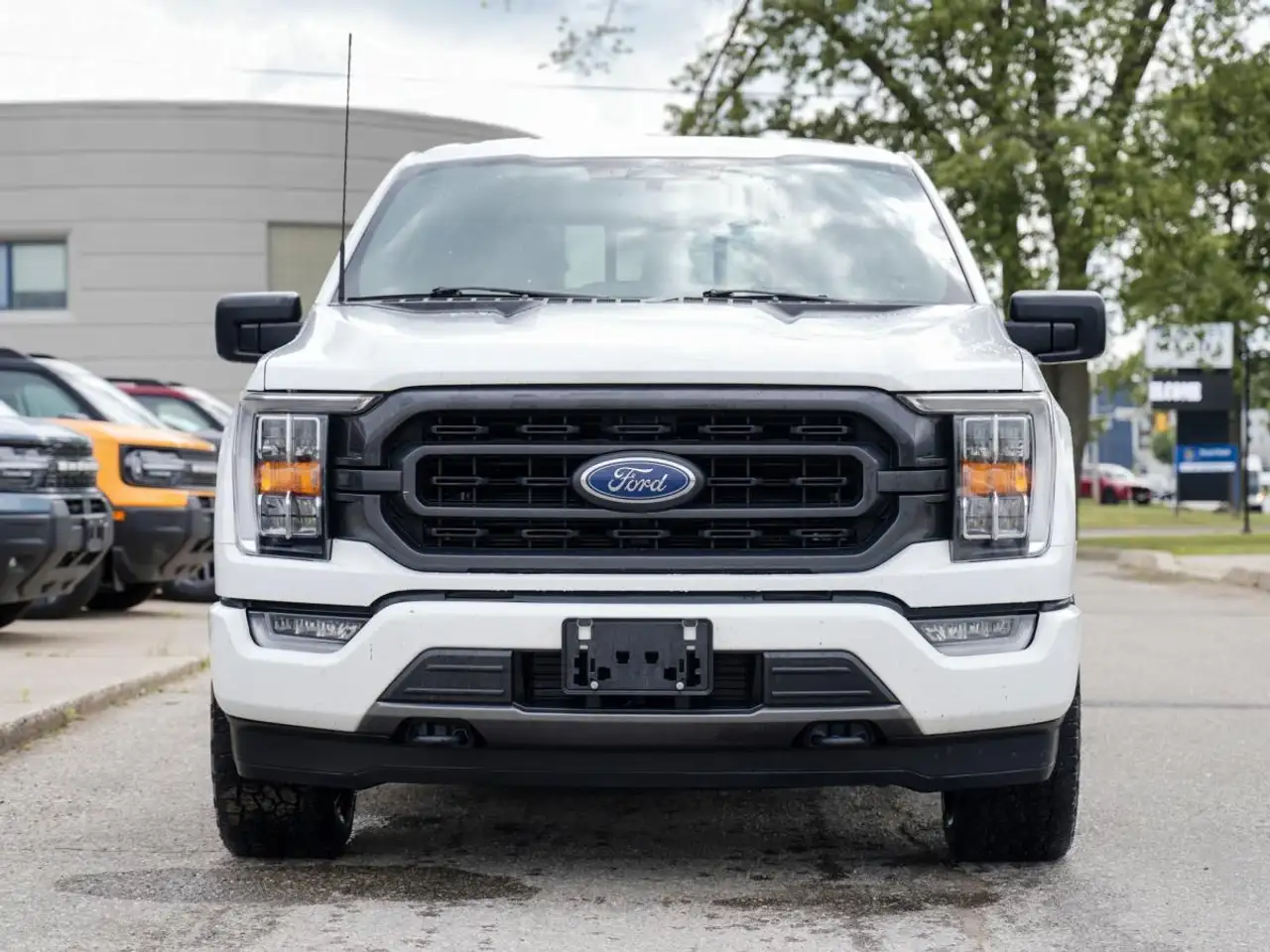 Ford F 150 fotografie Ford F 150