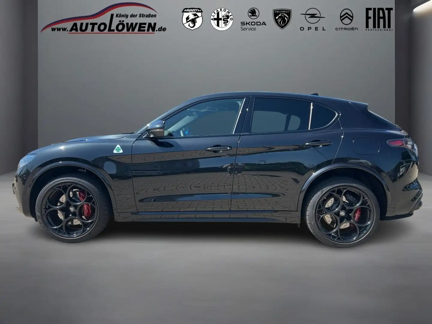 Alfa Romeo Stelvio 2.9 V6 Bi-Turbo Schwarz - 2