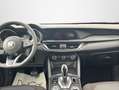 Alfa Romeo Stelvio Stelvio 2.2 Turbo Diesel 190 Cv AT8 Q4 Business - thumbnail 14