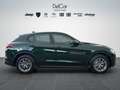 Alfa Romeo Stelvio Stelvio 2.2 Turbo Diesel 190 Cv AT8 Q4 Business - thumbnail 6