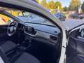 Kia Stonic 1.2 ECO GPL ANCHE PER NEOPATENTATI Bianco - thumbnail 15