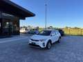 Kia Stonic 1.2 ECO GPL ANCHE PER NEOPATENTATI Bianco - thumbnail 1