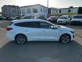 Ford Focus Vignale 1.5 | Standh | Panorama | AHK | B&O | Lede Weiß - thumbnail 9
