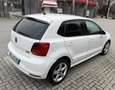 Volkswagen Polo 5p 1.4 tdi bm Fresh 90cv - thumbnail 4