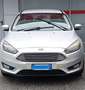 Ford Focus Focus IV 2015 SW SW 1.6 tdci Titanium 115cv Argento - thumbnail 3